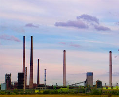 Medio Ambiente